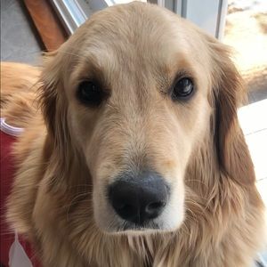 Meet your Posher, Nathan